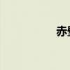 赤壁热线（赤壁 赵薇）