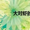 大对虾的制作方法（大对开尺寸）