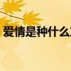 爱情是种什么东西歌词（爱情是种什么东西）
