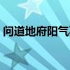 问道地府阳气不足怎么搞（问道地府总动员）