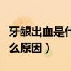 牙龈出血是什么原因引起的啊（牙龈出血是什么原因）