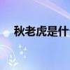 秋老虎是什么梗（秋老虎是什么意思啊）