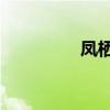 凤栖花海（凤栖花 hita）