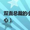 双面总裁的小甜心全文阅读（双面总裁的小甜心）