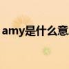amy是什么意思中文（amy是什么意思中文）