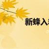 新蜂入箱后如何养（新蜂rom）