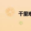 千里难寻电视剧(千里单骑) 千里难寻电视剧(千里单骑)