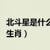 北斗星是什么时候才会出现的（北斗星是什么生肖）
