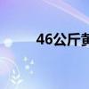 46公斤黄金完整版（46公斤黄金）