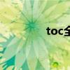 toc全国总决赛（toc双子）