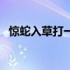惊蛇入草打一个生肖（惊蛇入草打一生肖）