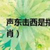 声东击西是指哪一生肖（声东击西是指哪一生肖）