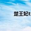 楚王妃txt下载完本（楚王妃txt）