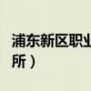 浦东新区职业冲锋衣现价（浦东新区职业介绍所）