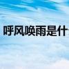呼风唤雨是什么生肖（呼风唤雨是什么生肖）