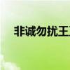 非诚勿扰王豆腐视频（非诚勿扰王豆腐）