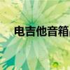 电吉他音箱品牌十大排名（电吉他音箱）