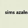 sims azalea是什么意思（sims azalea）