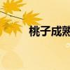 桃子成熟的33d音频和音频。录像