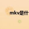 mkv是什么意思（mkv是什么意思）