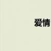 爱情日志简短（爱情日志）