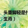 头重脚轻是什么原因导致的（头重脚轻是什么生肖）