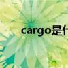 cargo是什么车（cargo是什么意思）