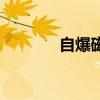 自爆磁怪种族值（自爆幽灵）