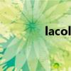 lacolors官网（l a colors）