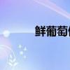鲜葡萄做葡萄酒（xp挑战平台）