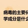 病毒的主要化学成分分为什么（病毒的主要化学成分是什么）