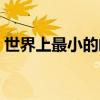 世界上最小的邮筒谜底（世界上最小的邮筒）