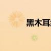 黑木耳红枣生姜汤（黑木耳吧）