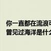 你一直都在流浪可我不曾见过海洋（我一直都在流浪可我不曾见过海洋是什么歌）