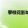 攀枝花影城电影时间表（攀枝花影城）