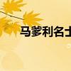 马爹利名士限量版（马爹利名士干邑）