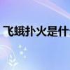 飞蛾扑火是什么生肖（飞蛾扑火是什么生肖）