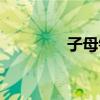 子母锁安装视频（子母锁）