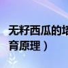 无籽西瓜的培育原理基因重组（无籽西瓜的培育原理）