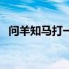 问羊知马打一动物（问羊知马打一个生肖）