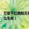万紫千红艳阳天打一生肖是什么生肖（万紫千红艳阳天指什么生肖）