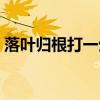 落叶归根打一生肖数字（落叶归根打一生肖）
