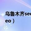 乌鲁木齐seo 网络推广口碑推荐（乌鲁木齐seo）