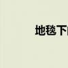 地毯下的金币（地毯下的尘土）