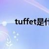 tuffet是什么意思啊（turf什么意思）