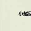小赵回东北的视频（小赵权）