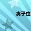 夹子虫的学名叫什么（夹子虫）