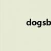 dogsbullets（dogs bullets）
