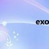 exo temple（exo tao）