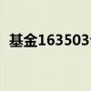 基金163503今日净值查询（基金163805）